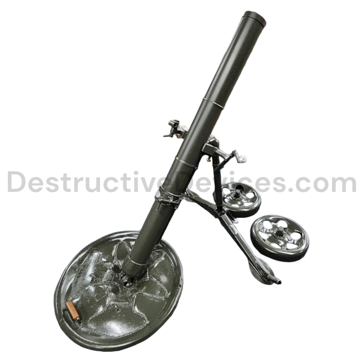 Photoroom-20240902_135832_6