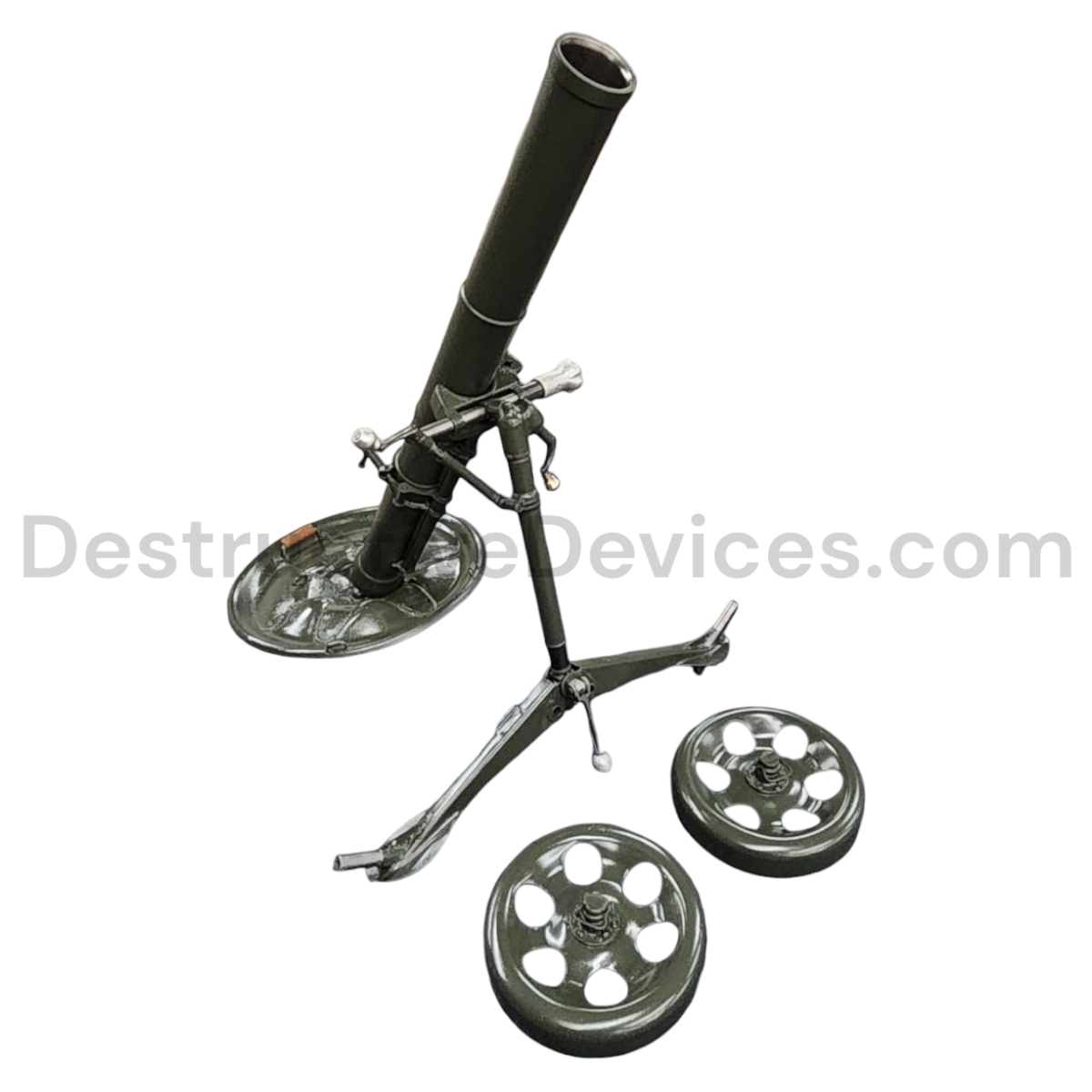 Photoroom-20240902_135832_8