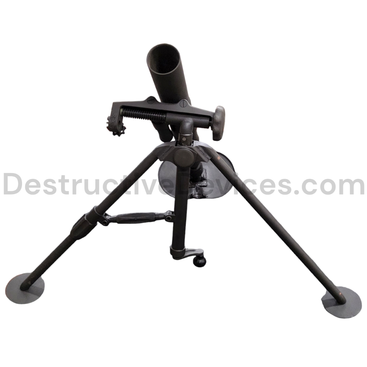 Photoroom-20241107_111115_6