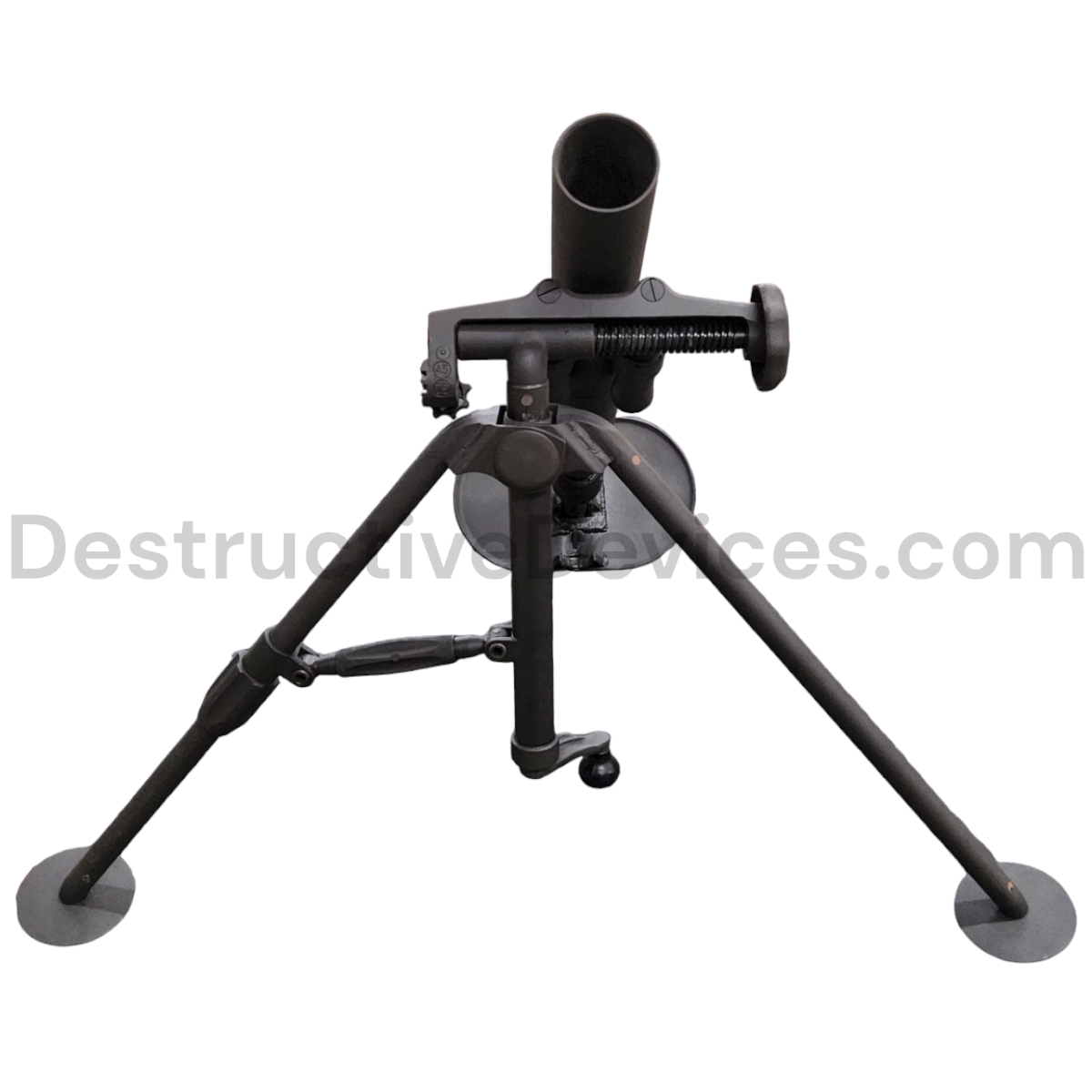 Photoroom-20241107_111115_7